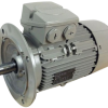 Flange_Mounted_Electric_Motor-